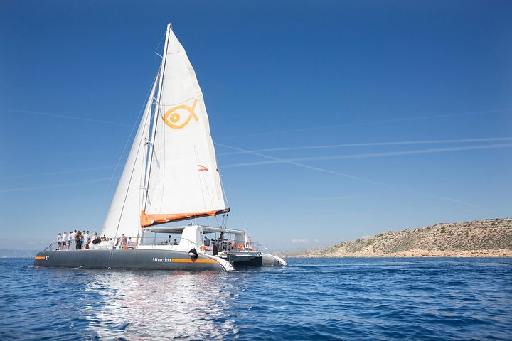 South option catamaran 