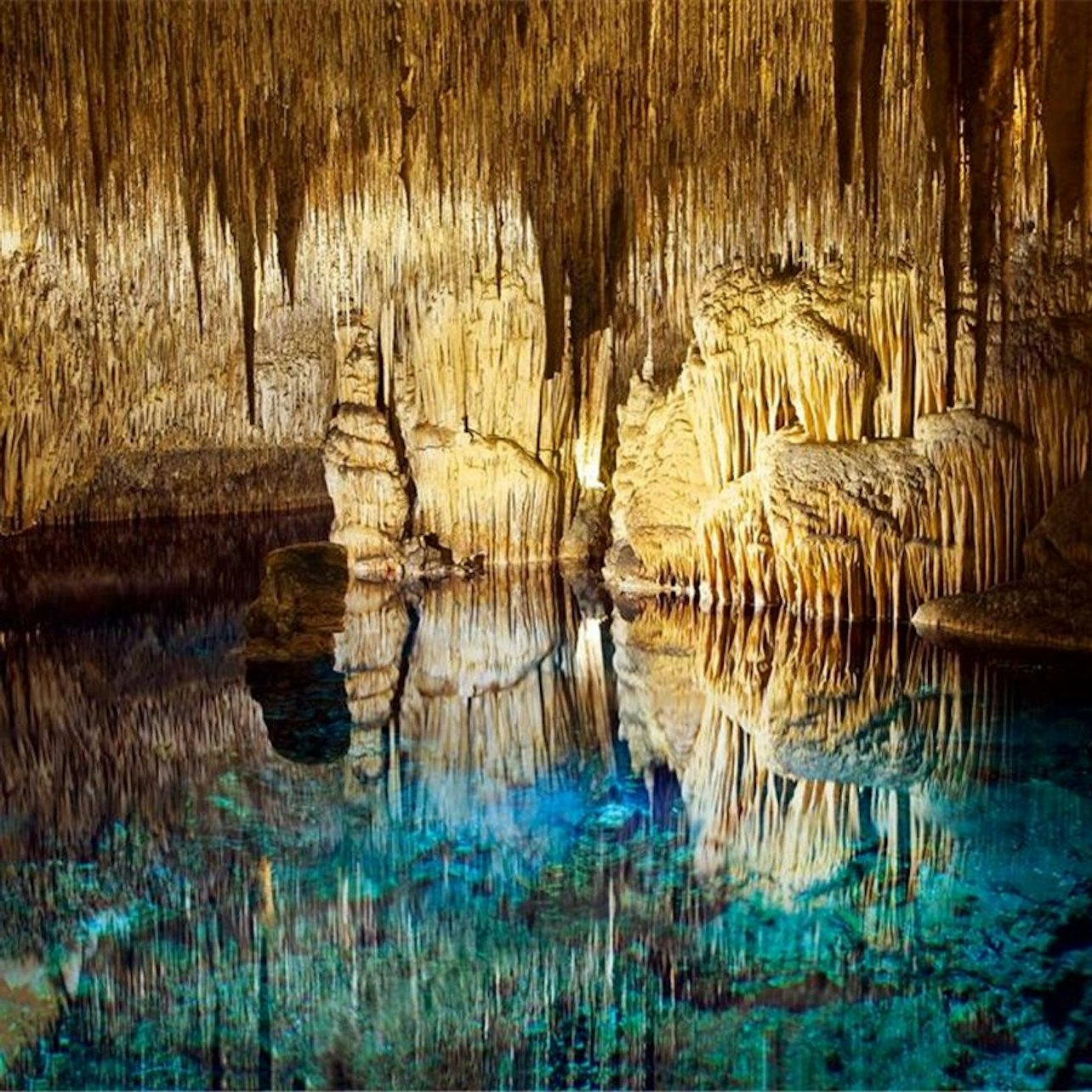 Mallorca: Caves of Drach & Porto Cristo Half-Day Trip by Bus - Photo 1 of 5