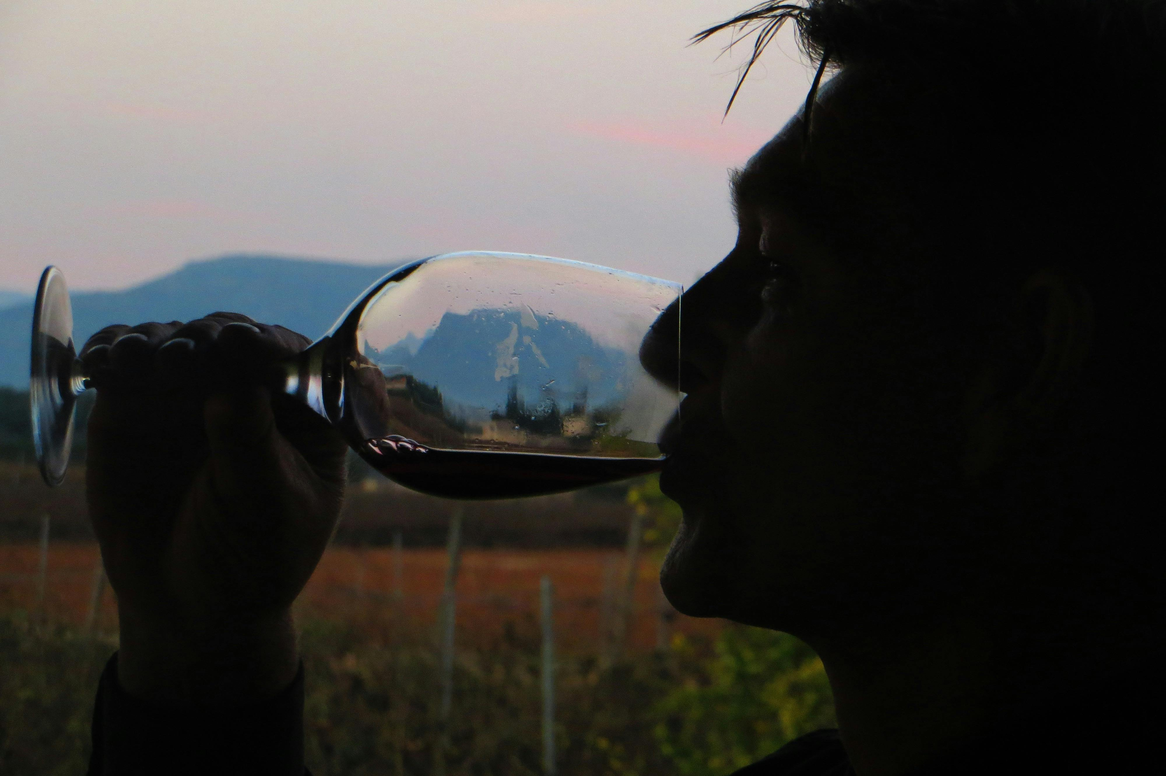 Mallorca: Guided Winery Tour + Transfer + Wine Tasting - Photo 1 of 6