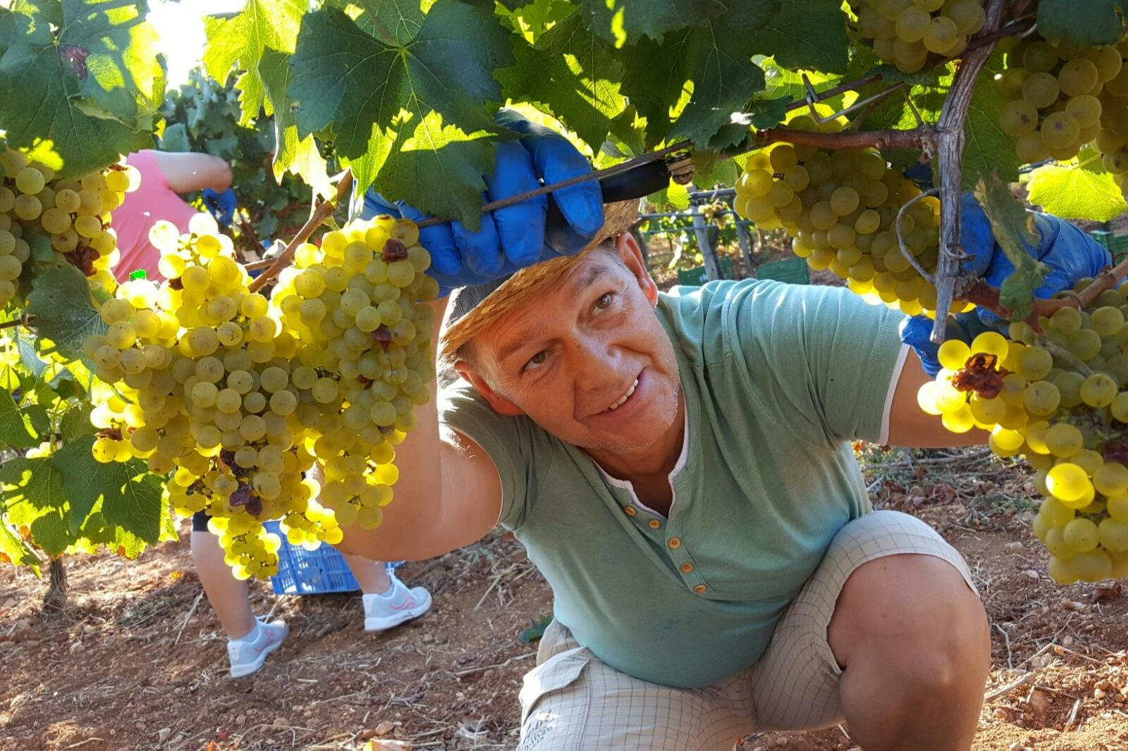 Mallorca: Winery & Olive Mill Guided Tour + Tastings + Roundtrip Transfer - Photo 1 of 7