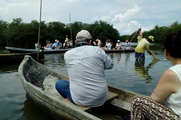 Canoeing and Fishing Show Mangrove Tour - Photo 1 of 5