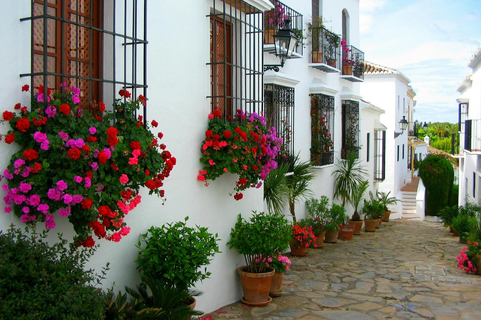 Mijas, Marbella & Puerto Banús: Guided Tour - Photo 1 of 6