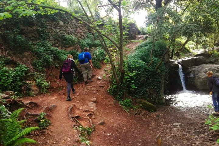 Montseny Guided Hiking Tour from Barcelona with Organic-friendly Lunch - Photo 1 of 5