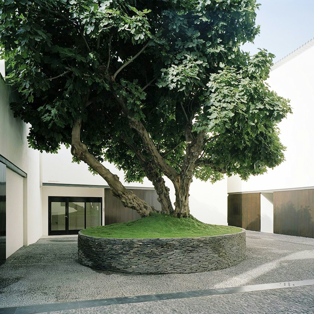 Museo Picasso Málaga: Guided Tour - Photo 1 of 6