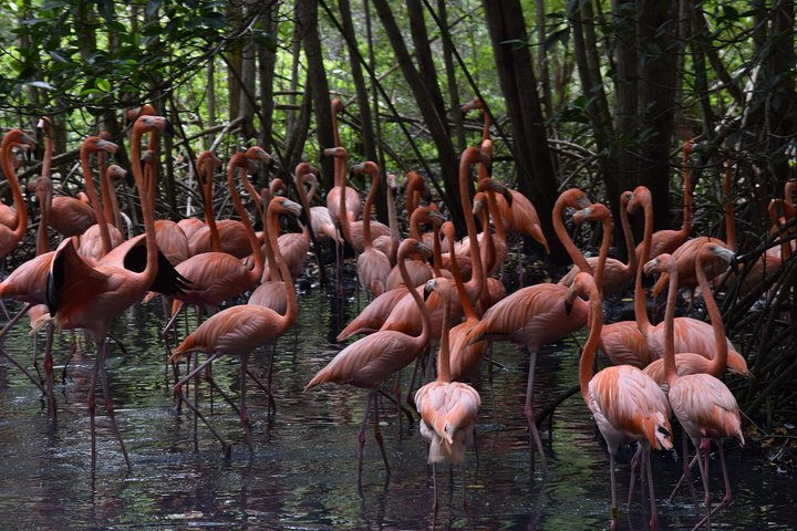 National aviary - Photo 1 of 21