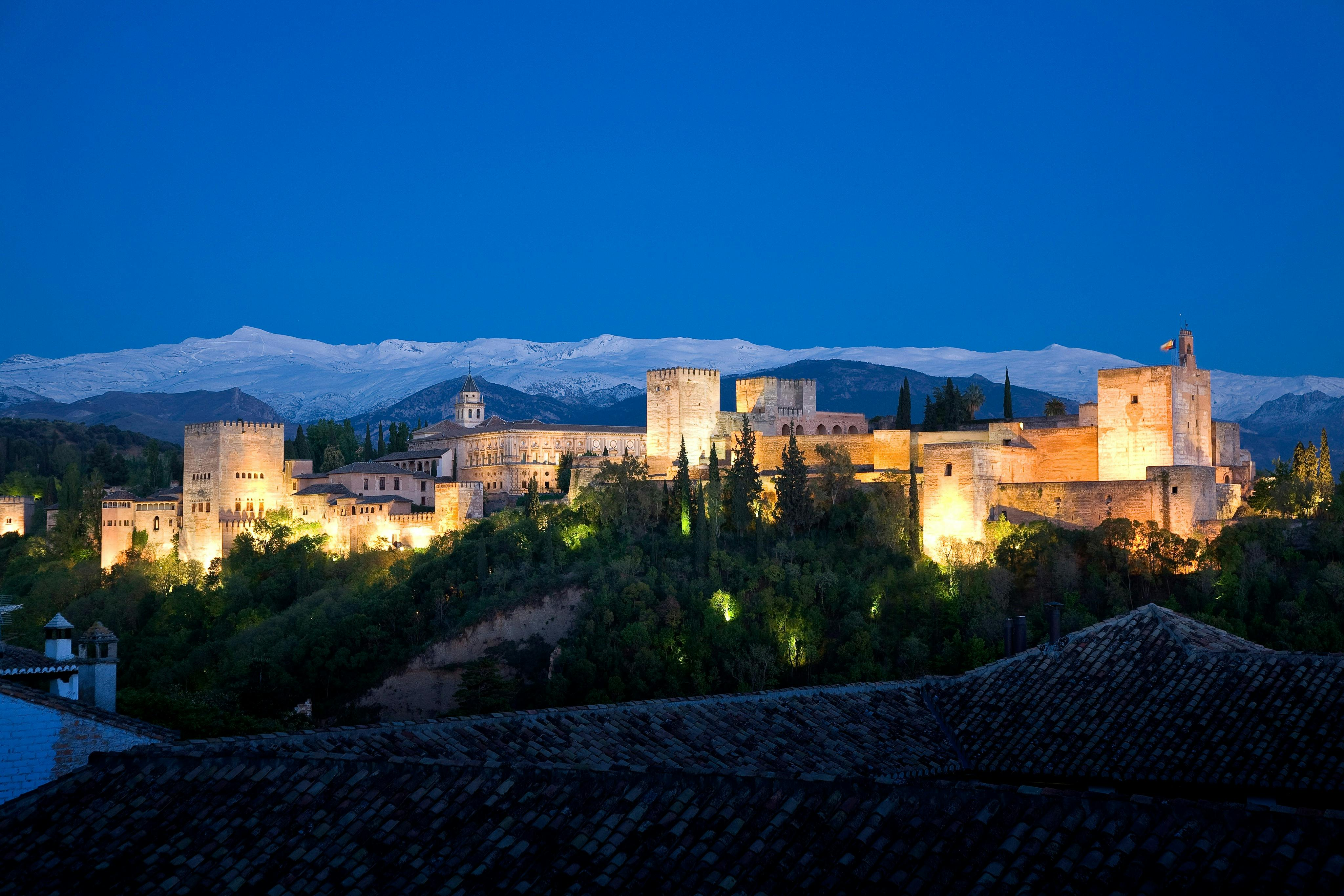 Alhambra & Nasrid Palaces: Skip The Line Ticket + Night Tour - Photo 1 of 3