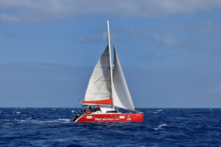 OBY Catamaran - Photo 1 of 8