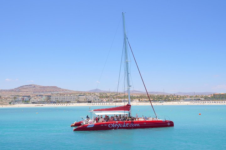 OBYCAT Experience - Photo 1 of 15