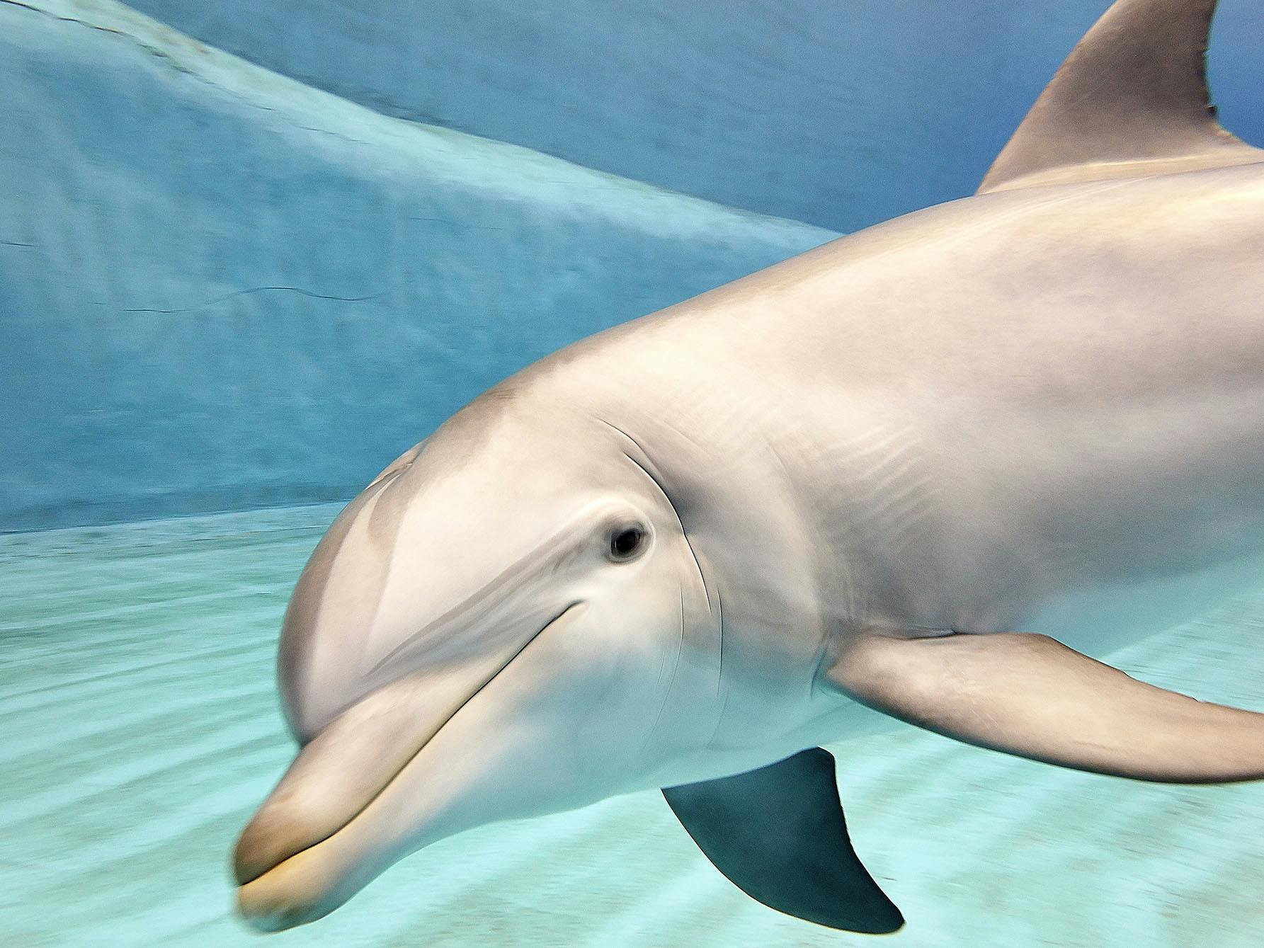 Oceanogràfic & Science Museum: Entry Ticket - Photo 1 of 7