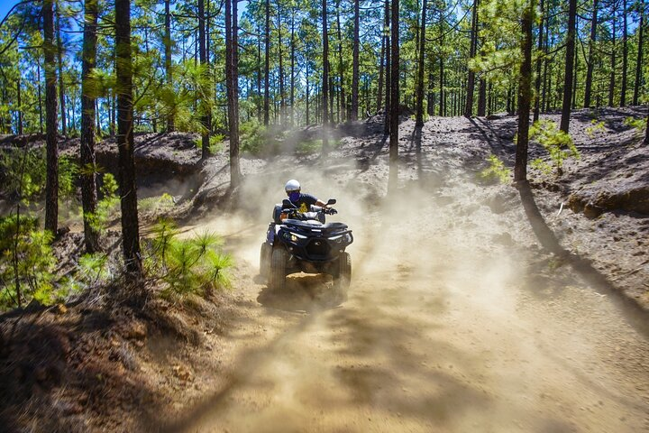 Off-Road Quad Tour from Woodlands to Volcanic Heights - Photo 1 of 18