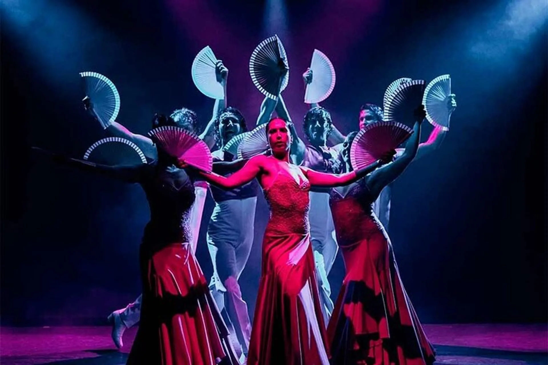 NOCHES DE FLAMENCO 1-10セット e9665ef3-b750-422c-85aa-