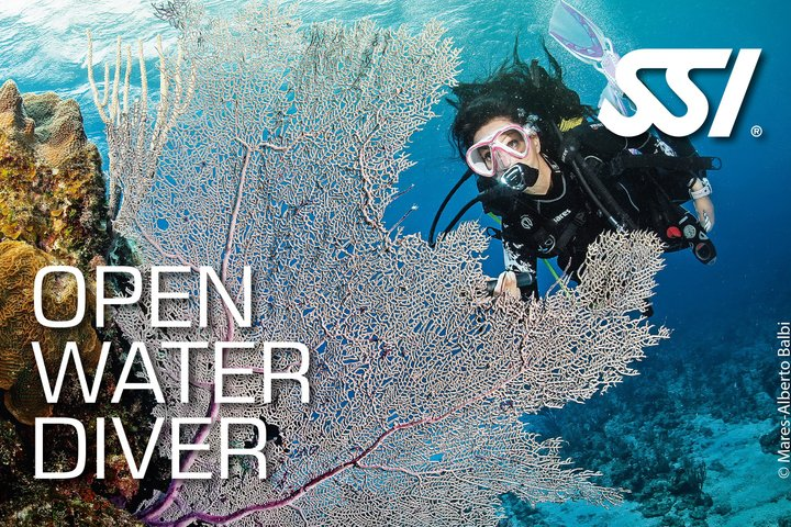 Mallorca: Open Water Diver Course - Photo 1 of 14