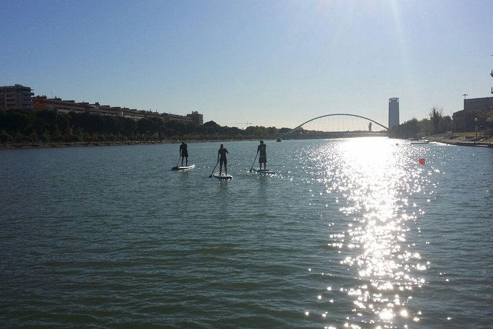 Experience the beauty of Seville from the water gliding on paddleboards under the sun with scenic views and a welcoming atmosphere for all adventure seekers.