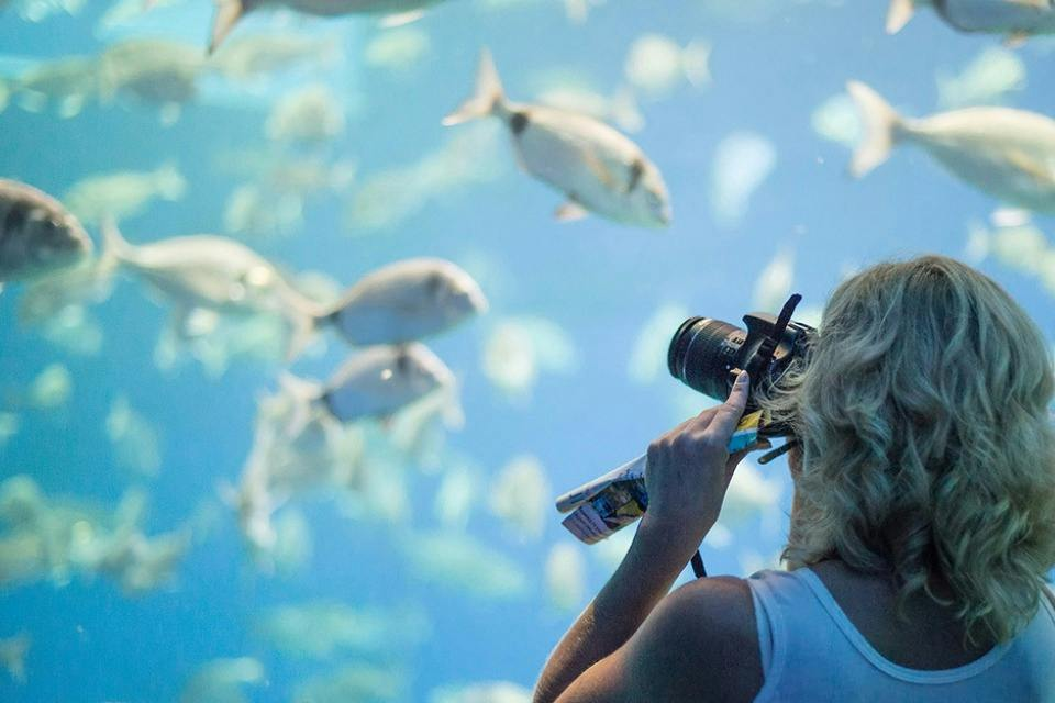 Palma Aquarium: Entry Ticket + Transfer from North - Photo 1 of 12