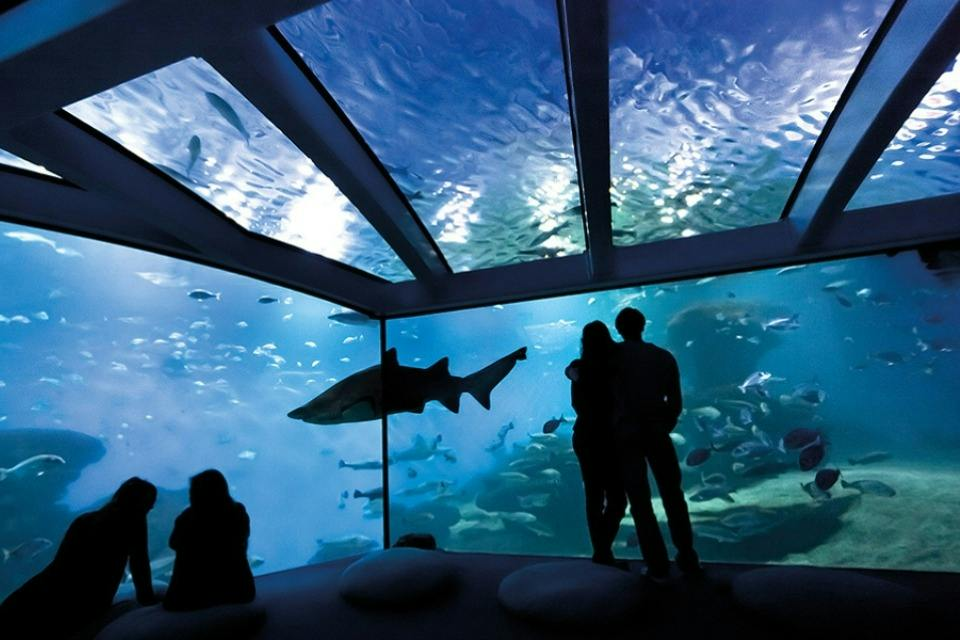 Palma Aquarium: Entry Ticket + Transfer from Cala Ratjada Area - Photo 1 of 13