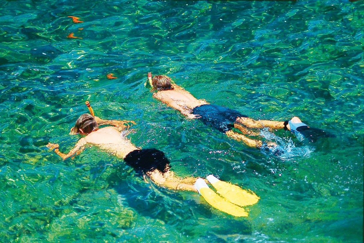 Palma de Mallorca: 2-Hr Catamaran Cruise + Swimming & Snorkeling - Photo 1 of 9