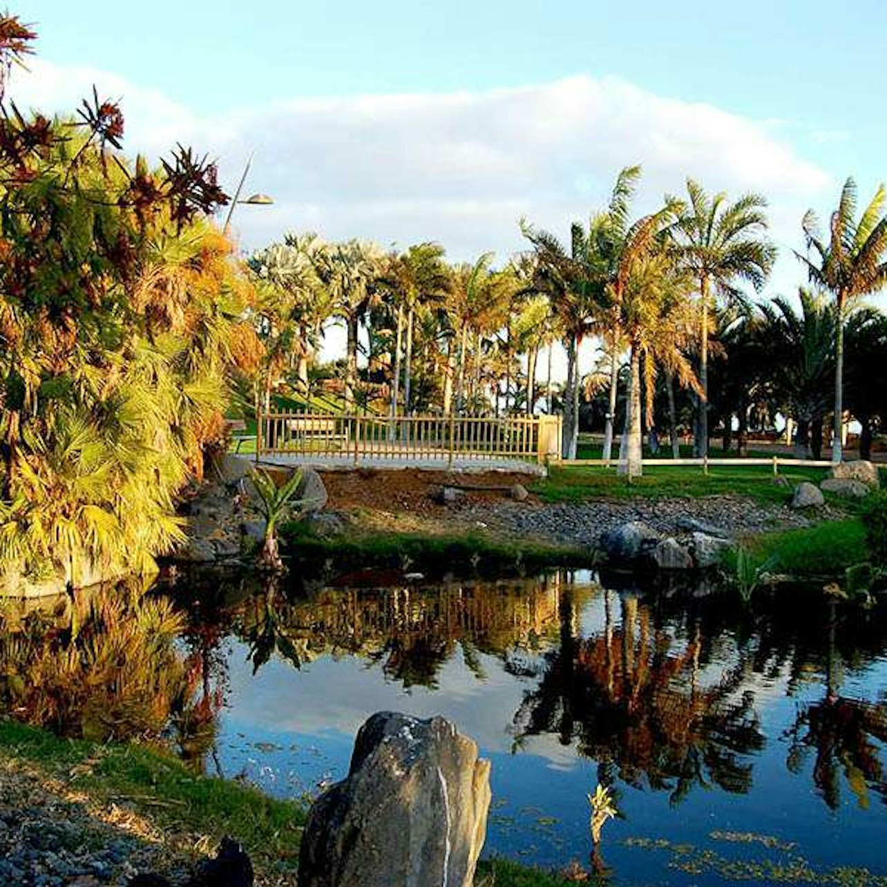 Palmetum of Santa Cruz de Tenerife: Entry Ticket - Photo 1 of 6