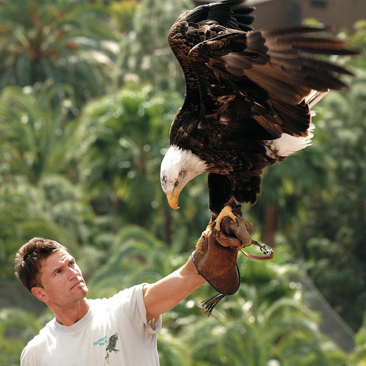 Palmitos Park: Entry Ticket - Photo 1 of 10