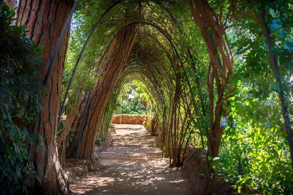 Park Güell & Gaudi House Museum Tickets - Photo 1 of 5