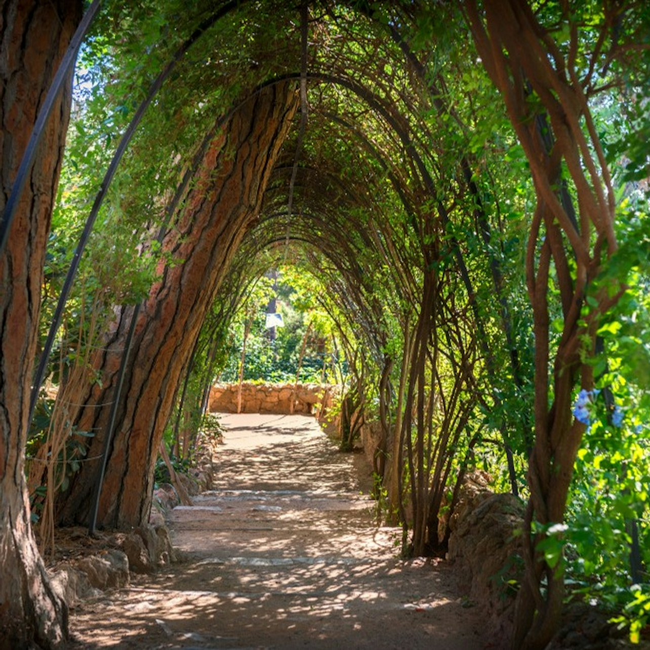 Wander through the lush pathways of Park Güell surrounded by unique architectural designs that reflect Gaudí's genius providing a perfect blend of nature and creativity for every traveler.