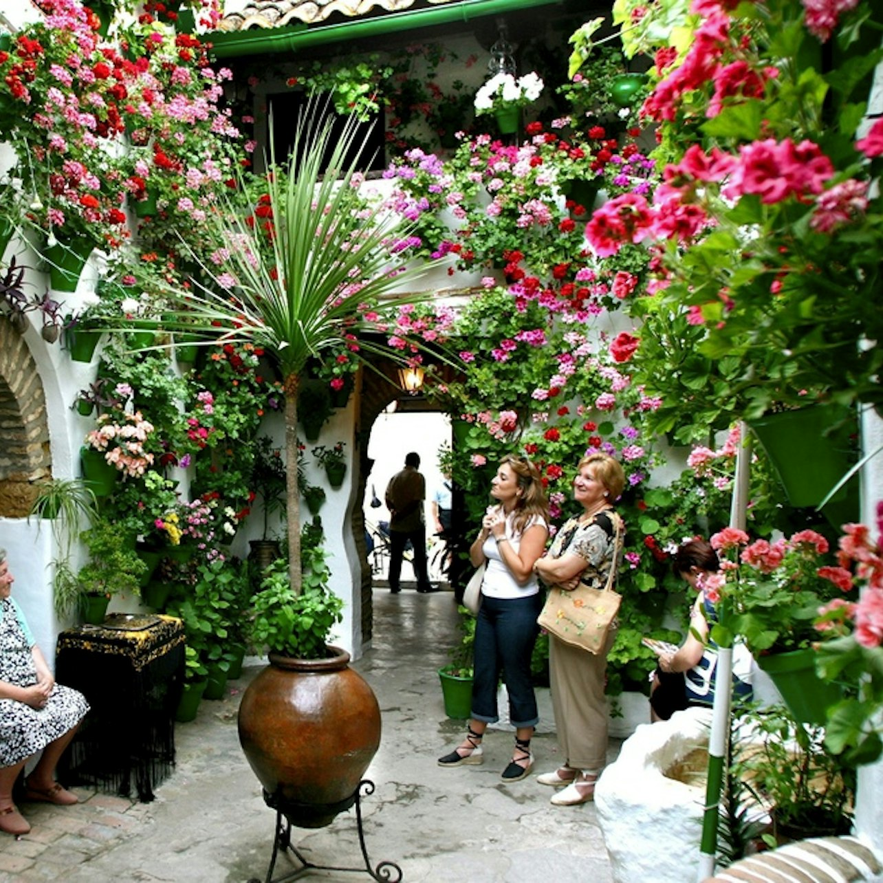 Patios de Córdoba: Guided Tour - Photo 1 of 7