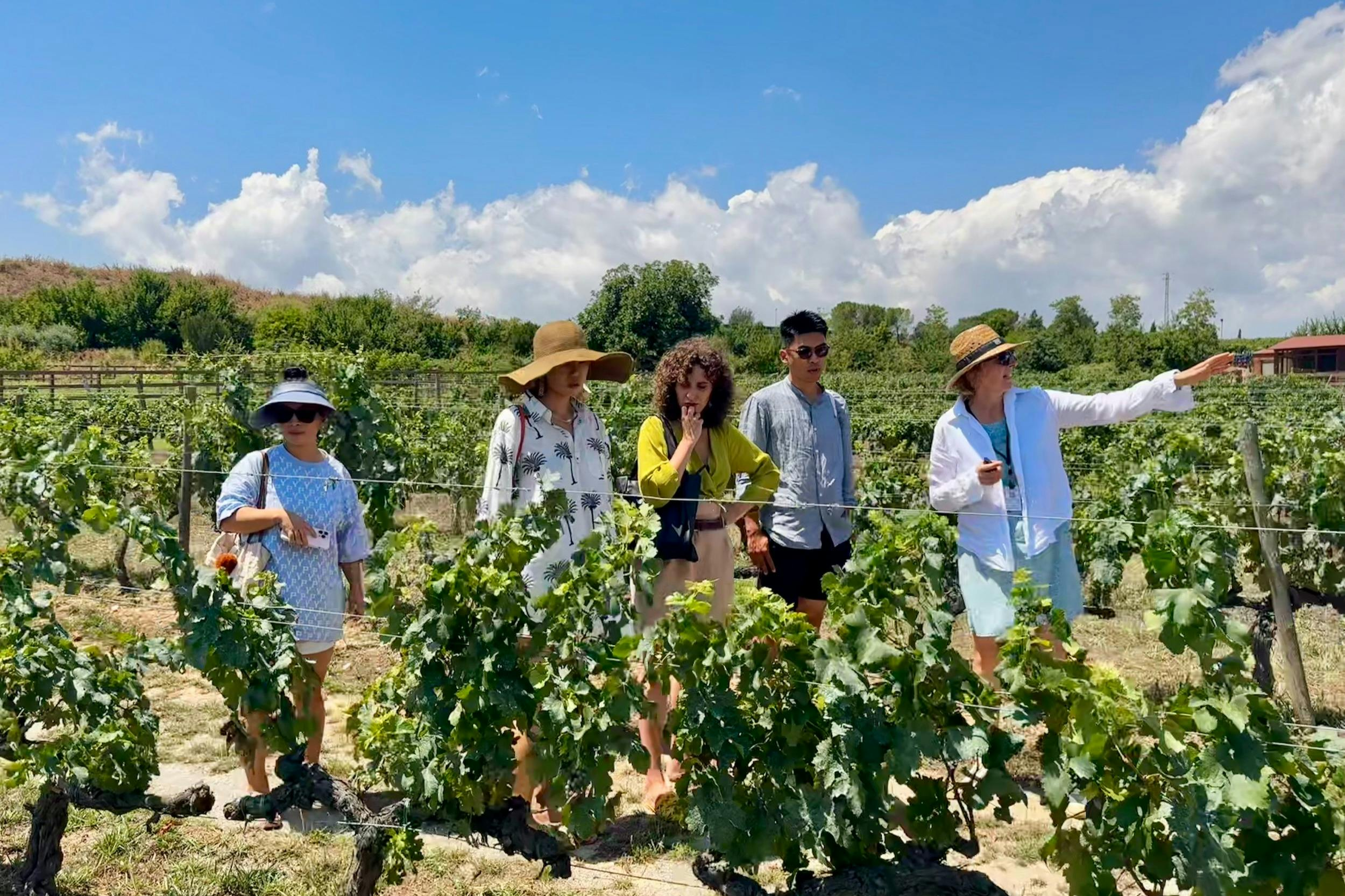 Penedès: Half-Day Guided Tour from Barcelona + Brunch + Wine Tasting - Photo 1 of 8