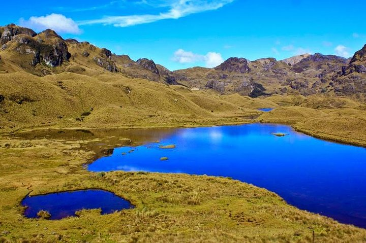 Cajas National Park Half Day