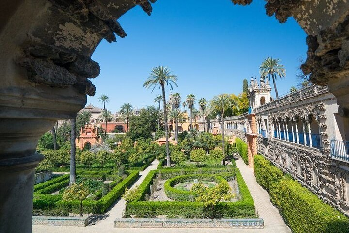 Savor delightful breakfast or afternoon coffee amidst lush gardens surrounded by stunning architecture exotic peacocks and fragrant blooms creating a perfect start or end to your Seville adventure.
