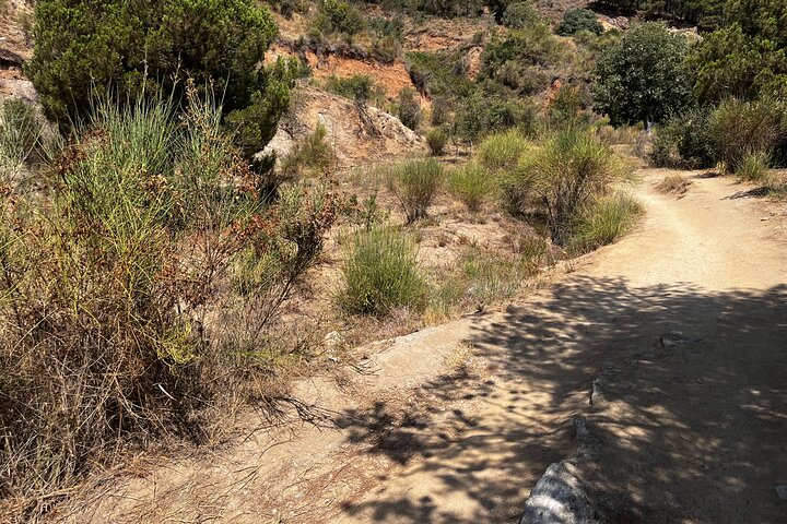 Private Collserola Hills Wildlife Hiking Tour - Photo 1 of 6
