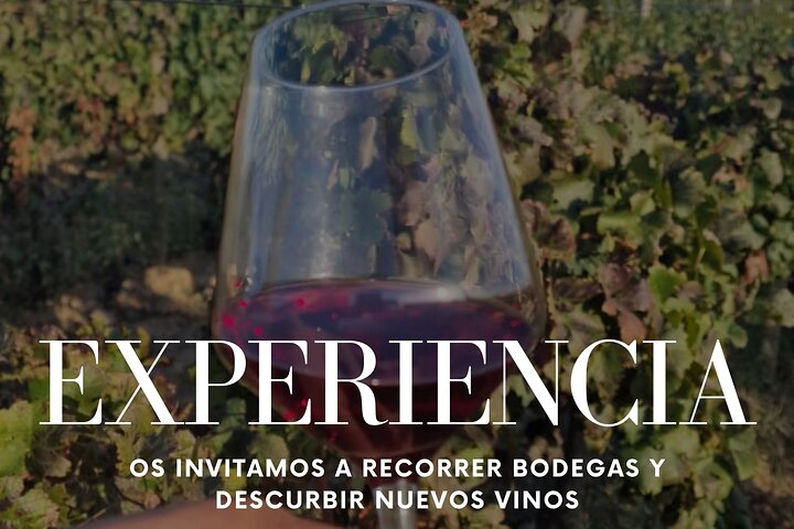 Private Full Day Tour in Alt Empordà with Wine Tasting - Photo 1 of 6