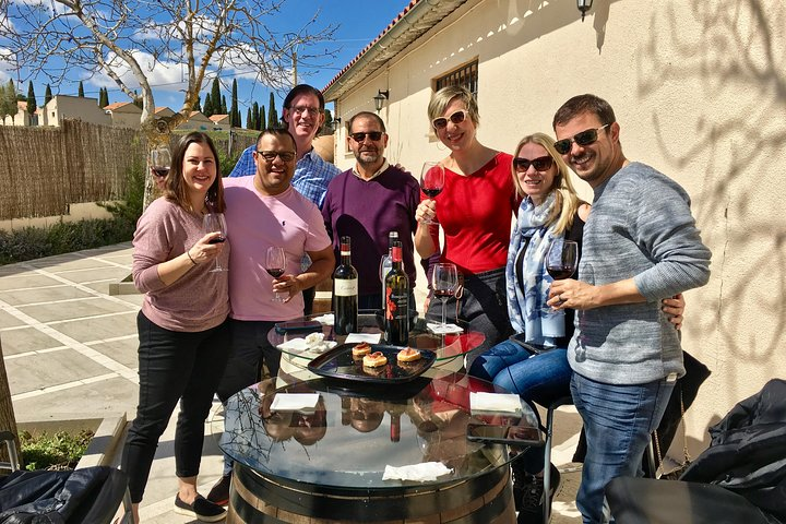 Private Winery Tour near Madrid with Sommelier (6-hour) - Photo 1 of 7