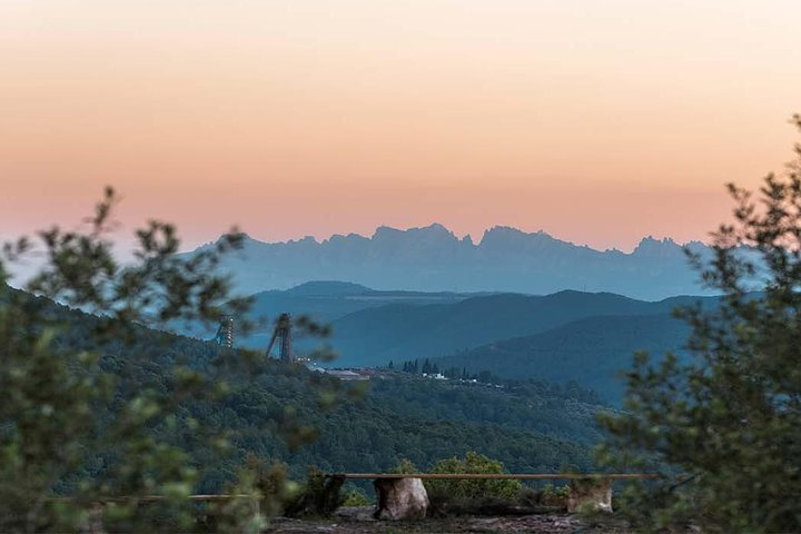 Private Oil Tasting Tour