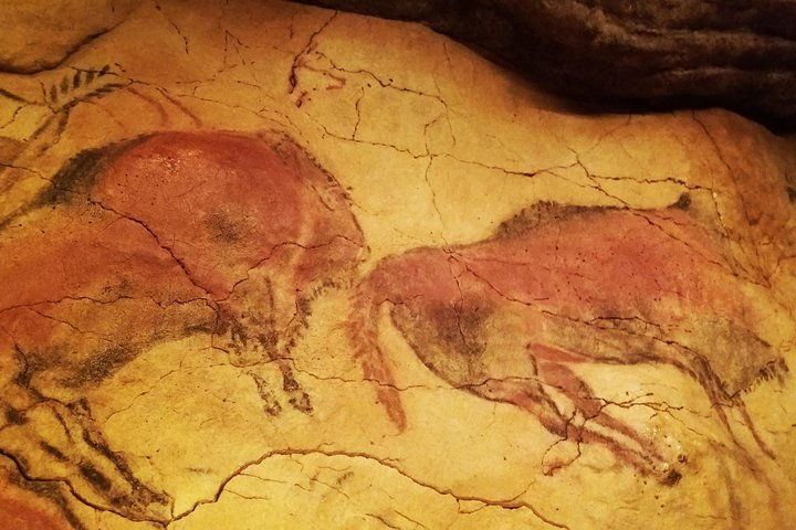 Private Puente Viesgo Caves Full-Day Tour from Santander - Photo 1 of 11