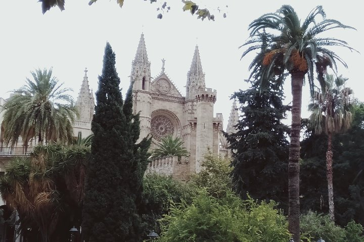 Main front of Palma Cathedral from Plaza de la Reina