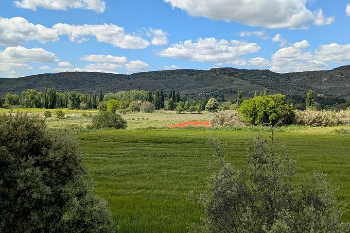 Signature Private Wine Escape and Lunch by Madrid Wine Country - Photo 1 of 25