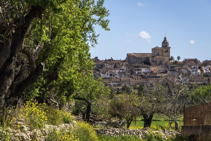 Private Tour: Mallorca Inland Villages and hidden marvels - Photo 1 of 7