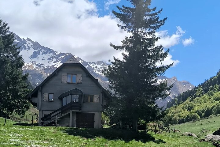 Pamplona de Bocado en Bocado: Join Our Pintxo Tour! - Photo 1 of 14