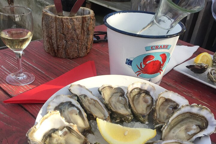 Private round-trip transfer from Barcelona: GIRONA, local WINERY and OYSTER FARM