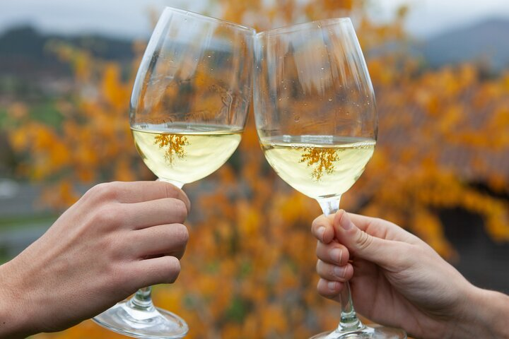 Private Txakoli wine tour in Getaria from San Sebastian - Photo 1 of 11