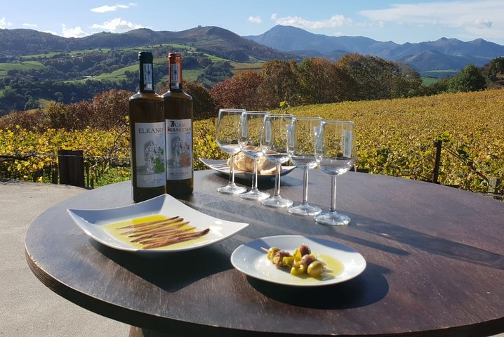 Private Getaria Txakoli Wine Tour from San Sebastian - Photo 1 of 10