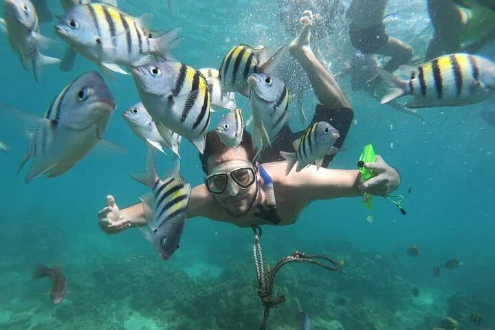 Enjoy the best snorkeling in Baru Playa Tranquila