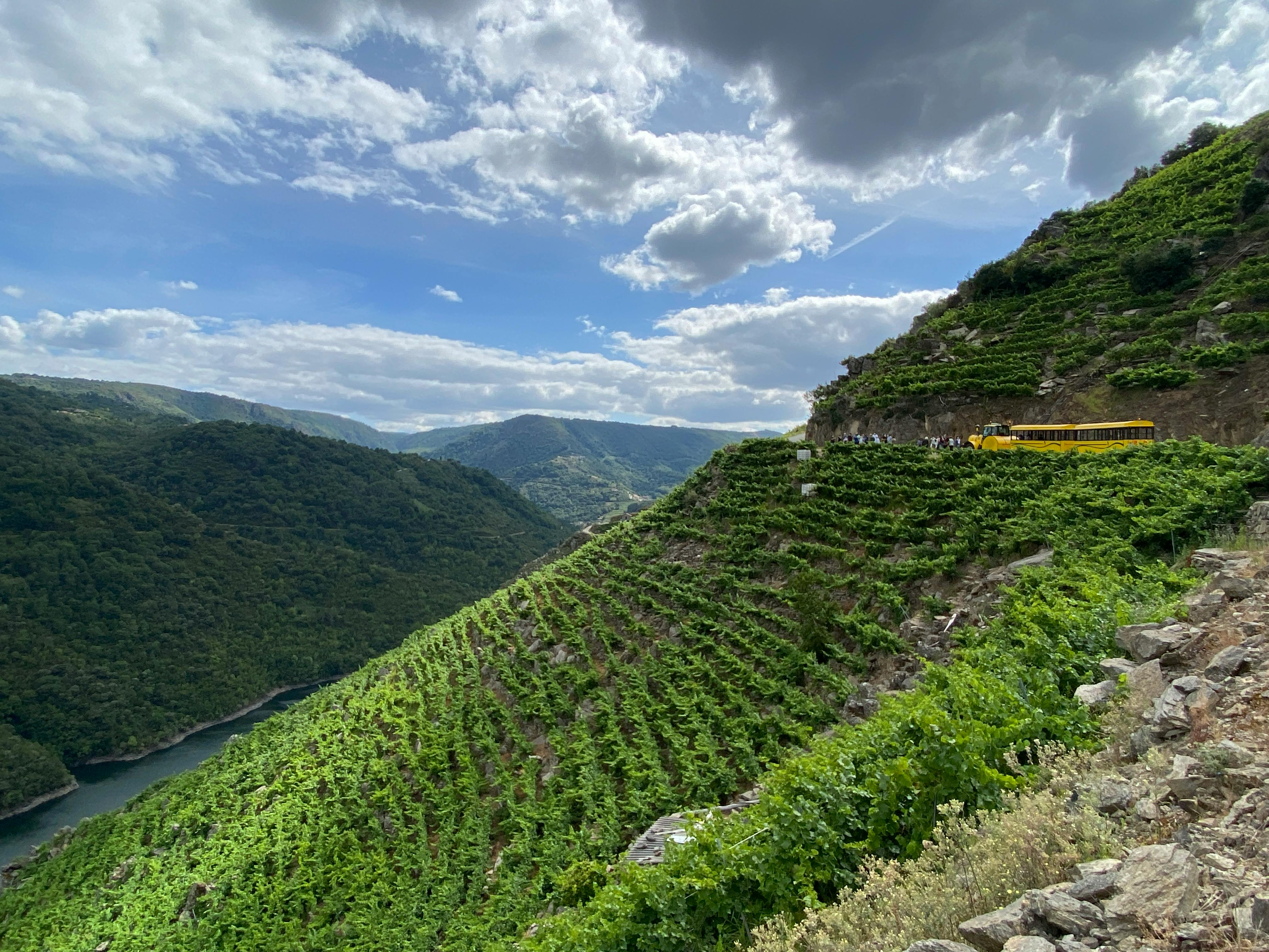 Ribeira Sacra Tourist Train - Photo 1 of 5