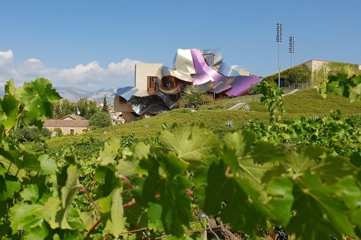 Rioja Wine Tour: 2 Wineries From Pamplona - Photo 1 of 9