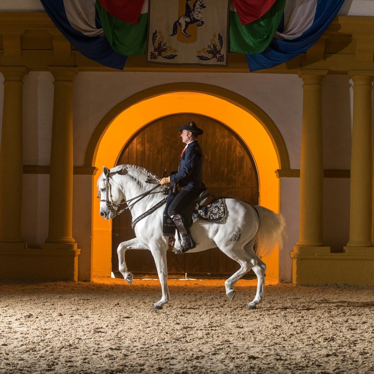 Royal Andalusian School of Equestrian Art: Full Visit + Optional VIP Upgrade - Photo 1 of 6