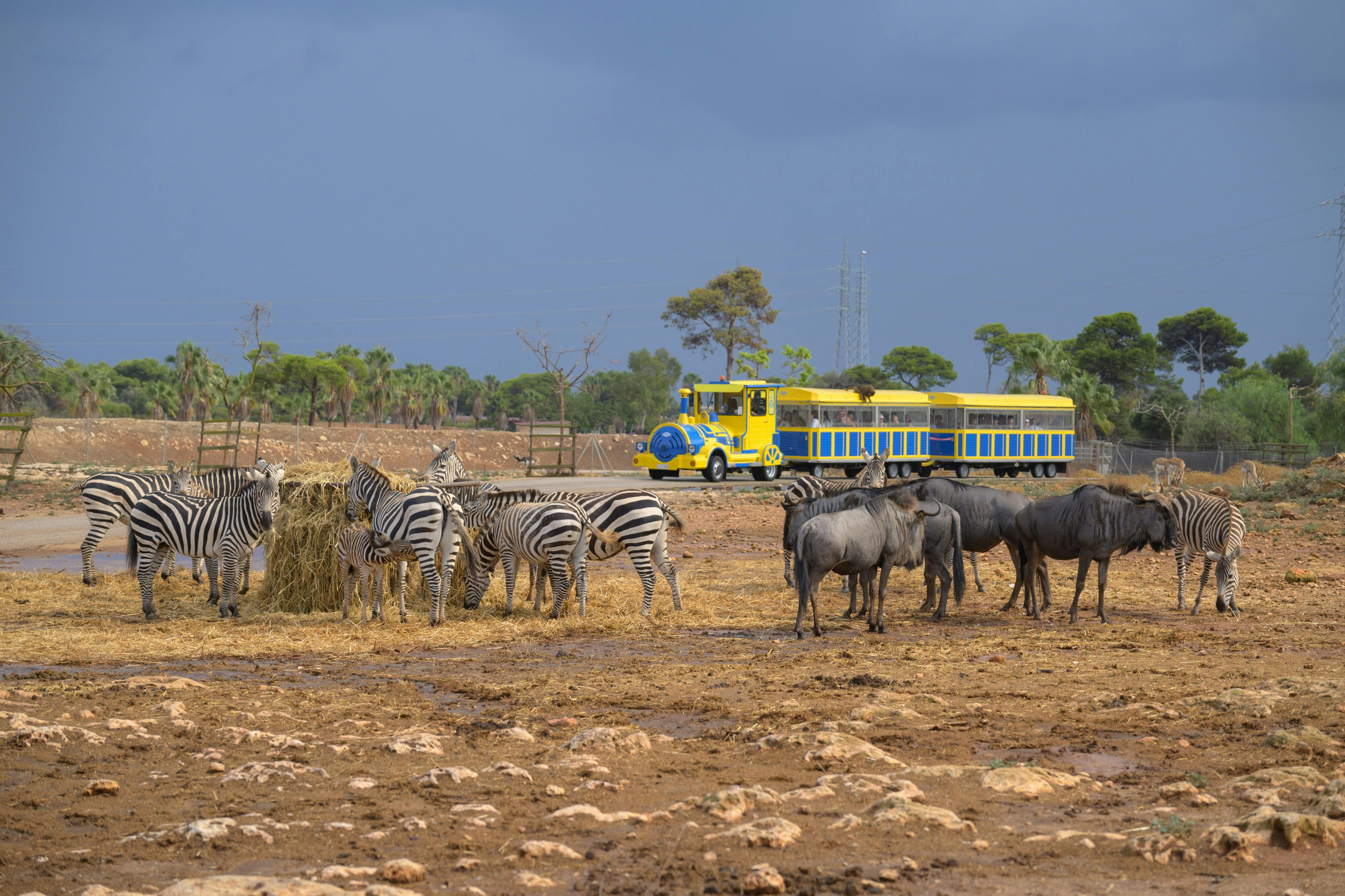 Safari Mallorca: Entry Ticket + Train Ride - Photo 1 of 5