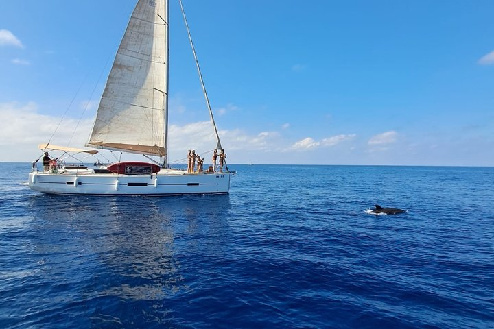 Sailing Adventure: Sailing, Dolphins and Relaxation with Drinks - Photo 1 of 25