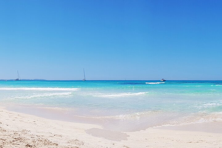 Salobrar Natural Park - Es Trenc Beach - Photo 1 of 6