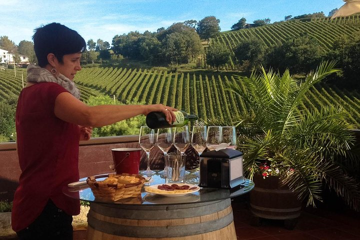 San Sebastián, Txakoli winery and coastal villages. Maximum 4 persons.  - Photo 1 of 7