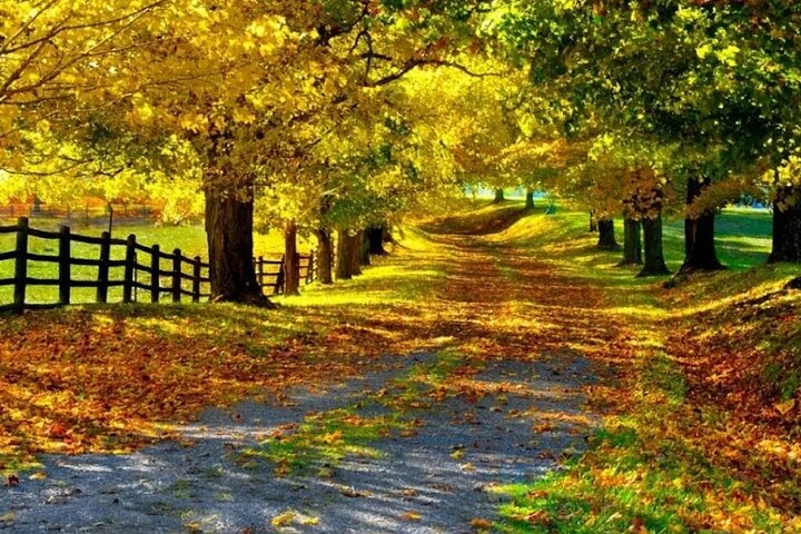  Walk The Camino&Santiago de Compostela Private SHORE Tour  - Photo 1 of 17