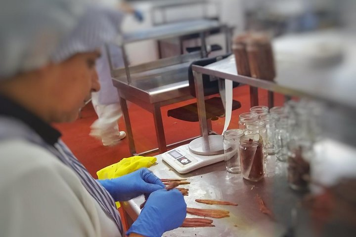 Anchovy Factory, Santoña